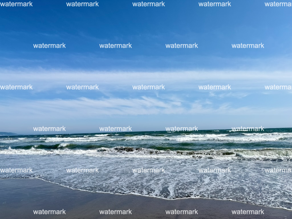 Before watermark removal